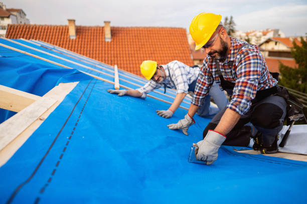 Best Commercial Roofing Services  in Holmen, WI