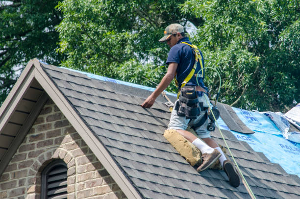 Best Roof Waterproofing Services  in Holmen, WI
